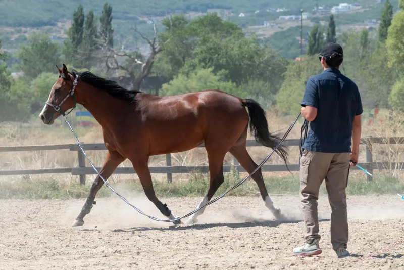 Die Trainer-Falle: Warum Bundesliga-Klubs im Sommer 2026 mehr Geld für Trainerentlassungen ausgeben als für Transfers